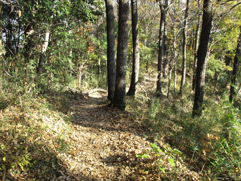 20151209hike (169)